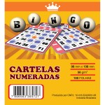 Cartelas para Bingo 98mmx108mm 56g 4 Pcts x 15Blocos Rosa - VHC