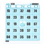 Cartelas para Bingo 98mmx108mm 56g 15Blocos com 100Fls Azul - VHC
