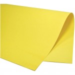 Color Set Plus Amarelo CS050.03 48x66cm 20 fls